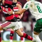 Flamengo e Palmeiras travam disputa acirrada pelo título do Brasileirão