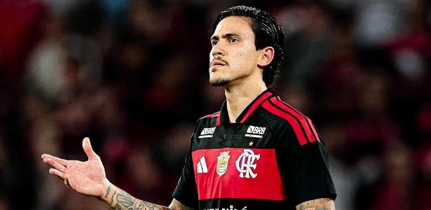 Flamengo lidera favoritismo ao título brasileiro após conclusão da 30ª rodada