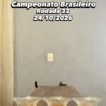 Frajola o gato vidente aponta vitória do Vasco sobre o Corinthians