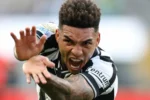 Igor jesus reafirma paixão pelo botafogo e afasta rumor com rival