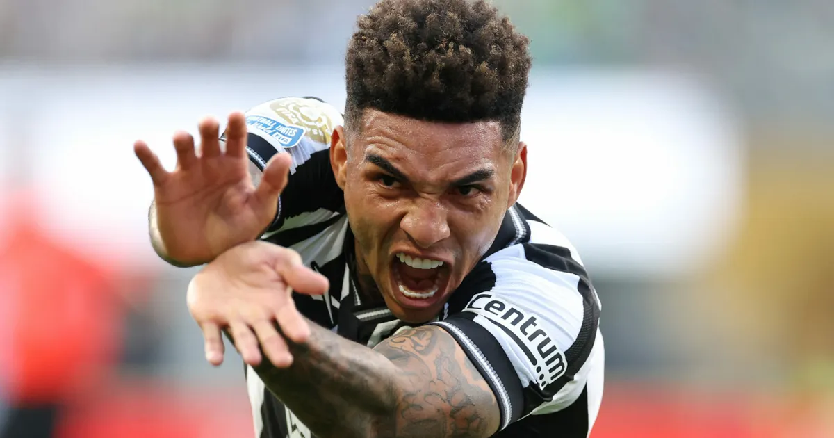 Igor jesus reafirma paixão pelo botafogo e afasta rumor com rival