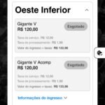 Ingressos esgotados para Setores da torcida do Vasco geram expectativa no Engenhão