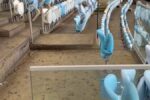 Maracanã registra danos expressivos após jogo e torcida rival é apontada como principal causa