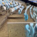 Maracanã registra danos expressivos após jogo e torcida rival é apontada como principal causa