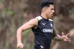 Matheus martins projeta arrancada final do botafogo no campeonato brasileiro