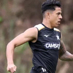 Matheus martins projeta arrancada final do botafogo no campeonato brasileiro