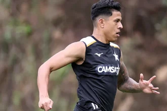 Matheus martins projeta arrancada final do botafogo no campeonato brasileiro
