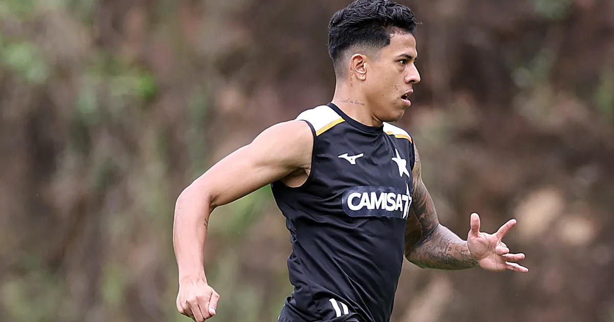 Matheus martins projeta arrancada final do botafogo no campeonato brasileiro