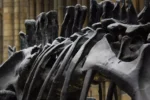 Novo terizinosauro descoberto na China revela anatomia peculiar de 125 milhões de anos