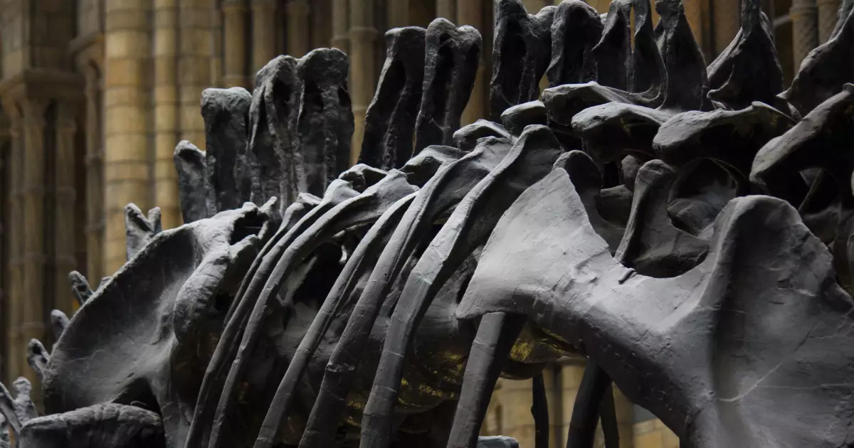 Novo terizinosauro descoberto na China revela anatomia peculiar de 125 milhões de anos