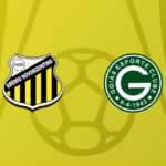 Novorizontino e Goiás se enfrentam em duelo decisivo pelo campeonato