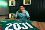 Palmeiras garante permanência de Luis Pacheco com extensão contratual de cinco anos