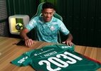 Palmeiras garante permanência de Luis Pacheco com novo acordo até 2031