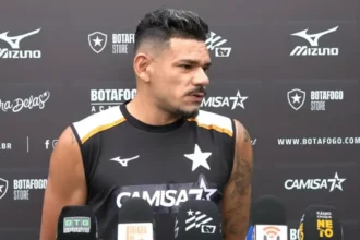 Tiquinho Soares desabafa sobre cobrança interna e nega bicho recorde no Botafogo