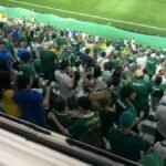Torcedores do Palmeiras comemoram gol do Vasco contra o Corinthians