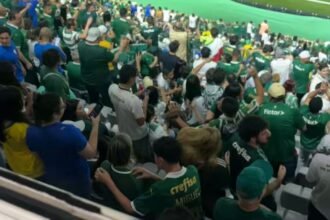 Torcedores do Palmeiras comemoram gol do Vasco contra o Corinthians