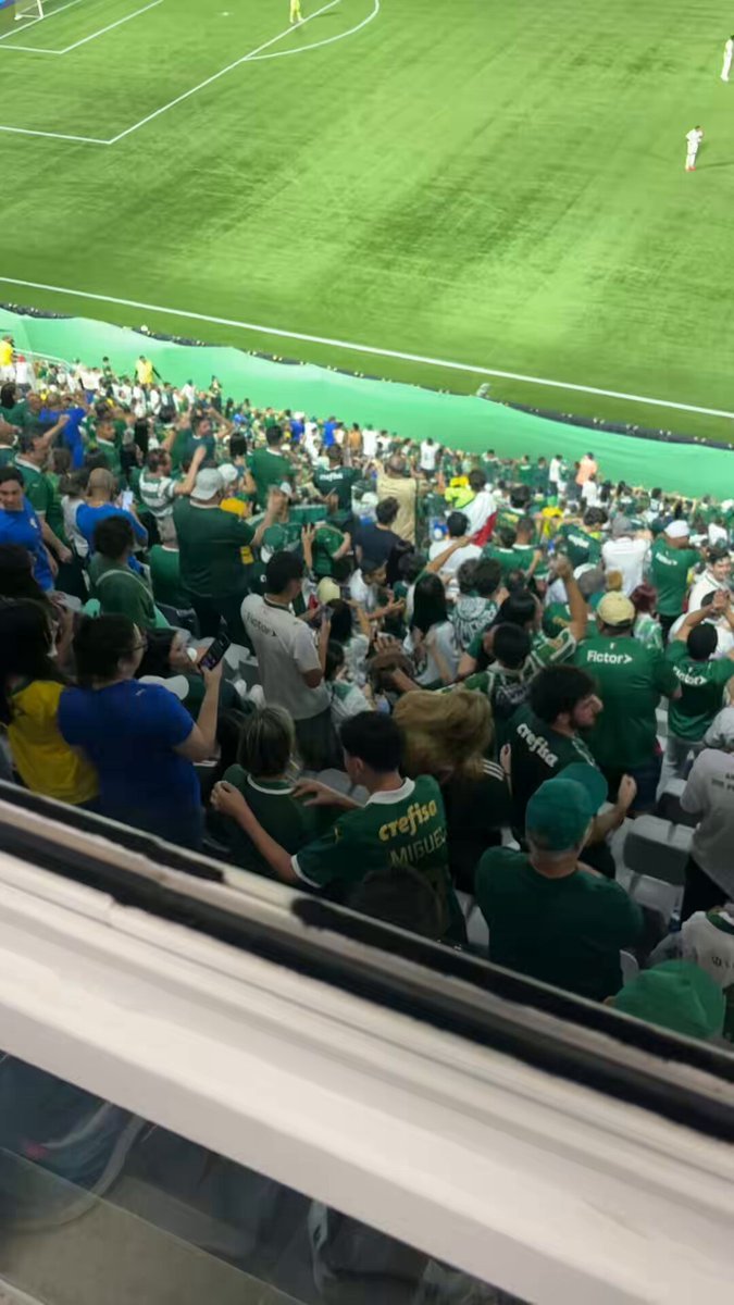 Torcedores do Palmeiras comemoram gol do Vasco contra o Corinthians