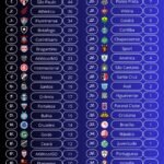 Vasco divide posição de destaque no ranking histórico de vitórias na copa sul-americana